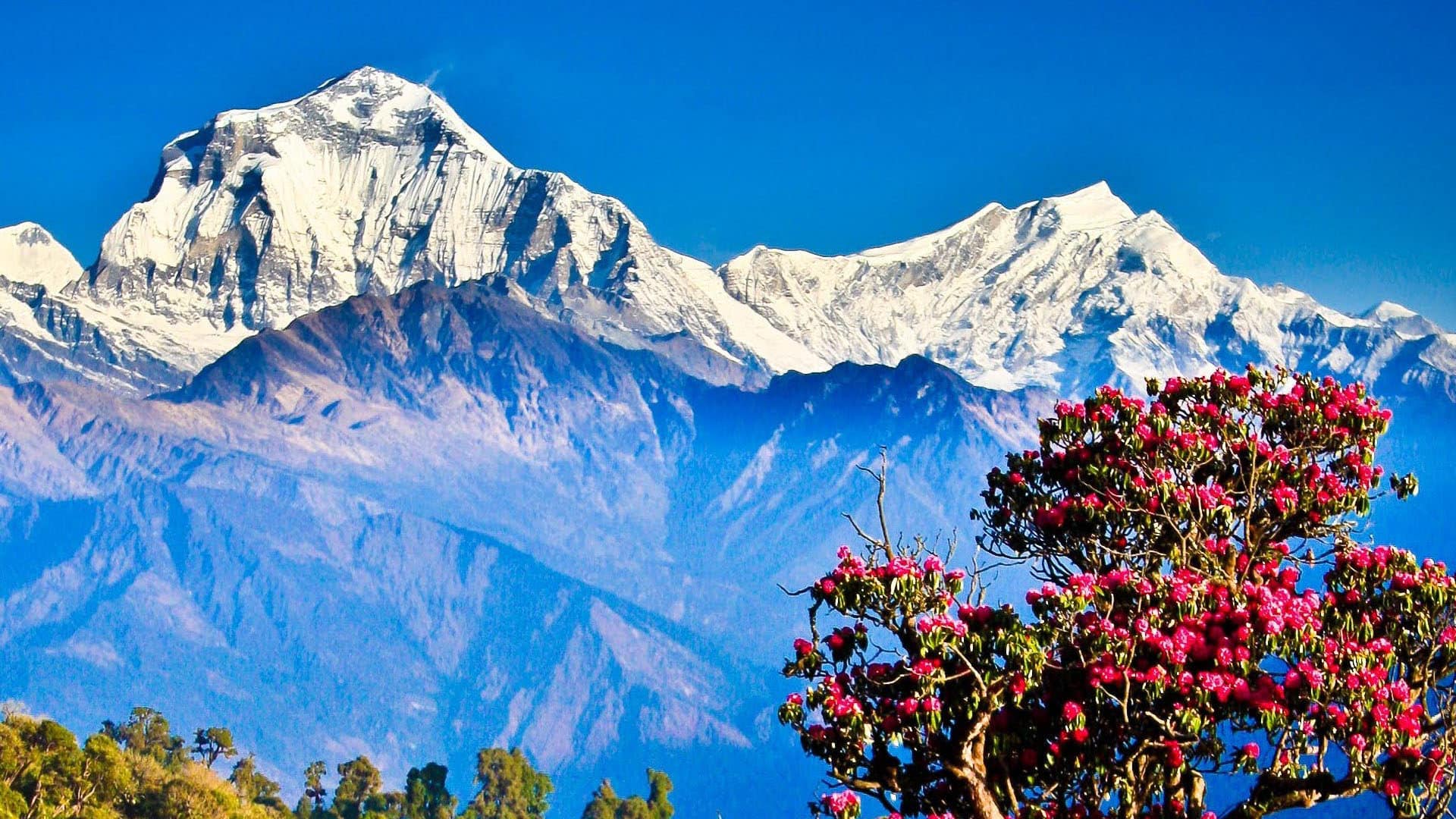 poon hill