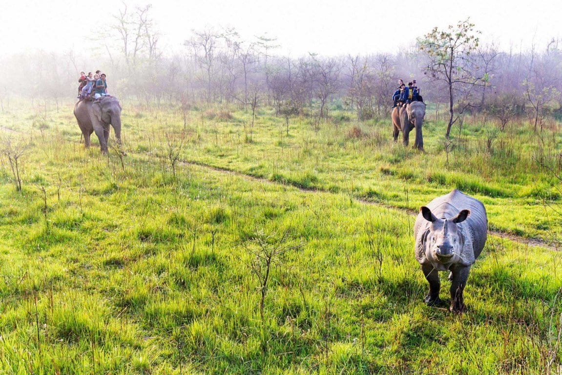 17-chitwan-national-park-elephant-safari Minimised