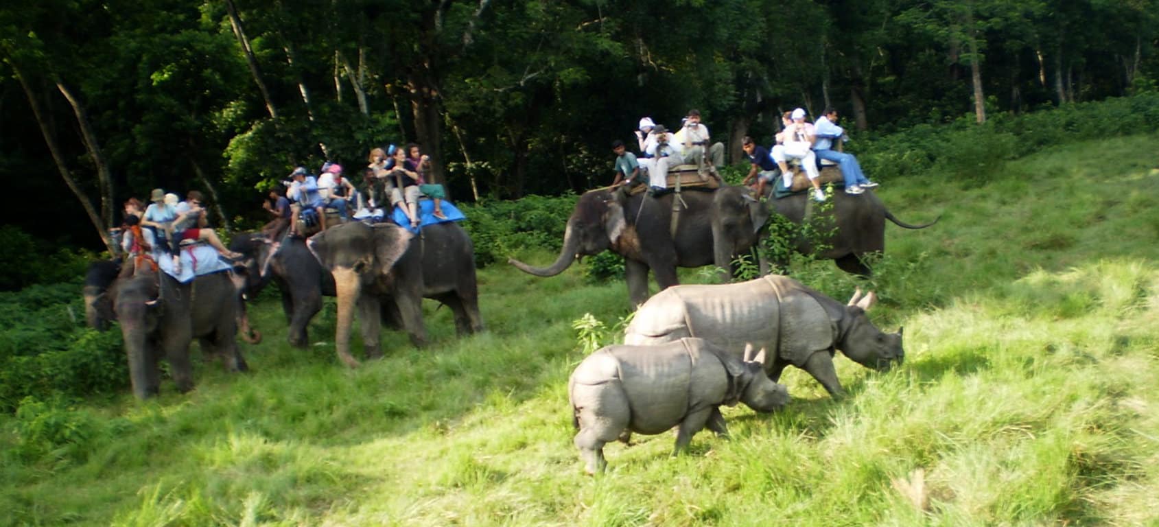 Kathmandu-Pokhara-Chitwan-Jungle-Safari-Tour. Minimised