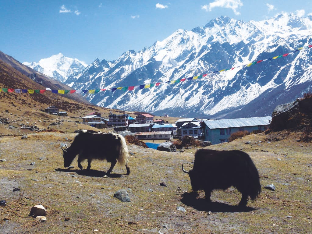 Langtang Valley