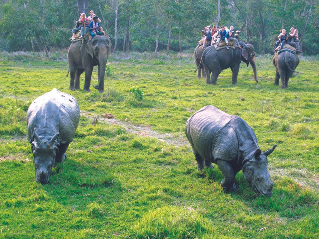 chitwan-animals11 Minimised